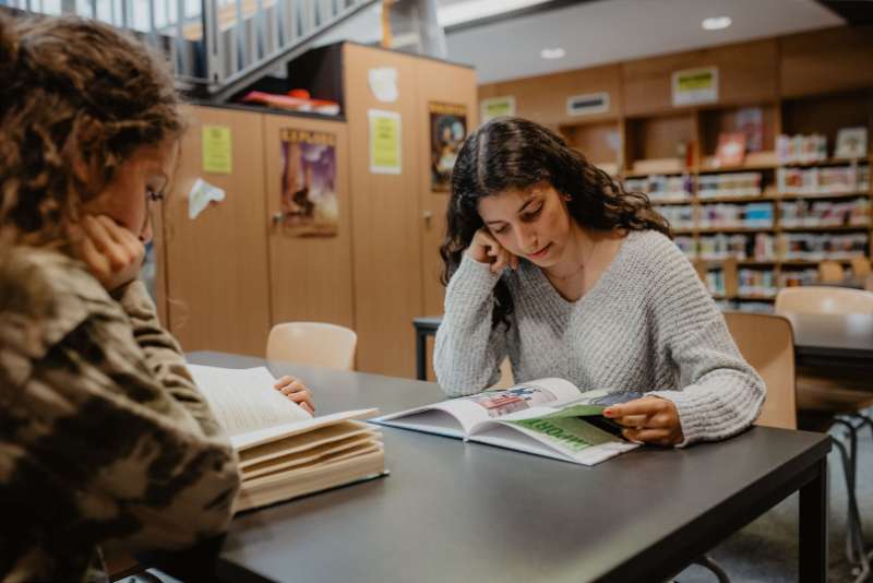 Students in the Library